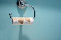 Empty toilet paper roll Royalty Free Stock Photo