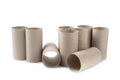 Empty toilet paper roll. Royalty Free Stock Photo