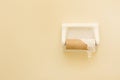 Empty Toilet Paper Roll Isolated