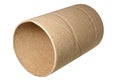 Empty toilet paper roll Royalty Free Stock Photo