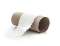 Empty toilet paper roll Royalty Free Stock Photo