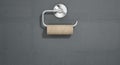 Empty Toilet Roll On Chrome Hanger