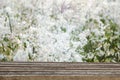 Empty top wooden table on blurred the grass or Liliopsida for background. Royalty Free Stock Photo