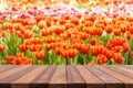 Empty top wooden table and flower field blurred background Royalty Free Stock Photo