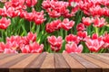 Empty top wooden table and flower field blurred background Royalty Free Stock Photo