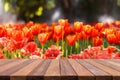 Empty top wooden table and flower field blurred background Royalty Free Stock Photo