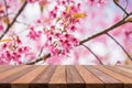 Empty top wooden table and flower field blurred background Royalty Free Stock Photo