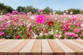 Empty top wooden table and flower field blurred background Royalty Free Stock Photo