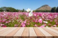 Empty top wooden table and flower field blurred background Royalty Free Stock Photo