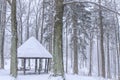 Empty tourist shelter in winter during snowfall in the forest in the Silesian Beskids, Poland