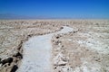 Empty Trail among the Amazing Salar de Atacama, Chilean Salt Flat in Antofagasta Region, Northern Chile Royalty Free Stock Photo