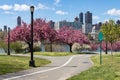 Empty Trail with Pink Flowering Crabapple Trees during Spring at Rainey Park in Astoria Queens New York Royalty Free Stock Photo