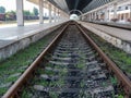 Empty train station. A platform under a glass roof Royalty Free Stock Photo