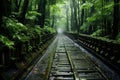 an empty train track in the middle of a forest Royalty Free Stock Photo