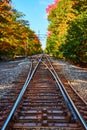 On empty train tracks leading into forest during fall foliage Royalty Free Stock Photo