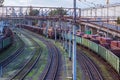 empty trains in the sea cargo terminal Royalty Free Stock Photo