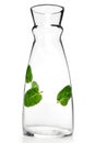 Empty transparent jug with mint leaf Royalty Free Stock Photo