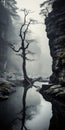 Misty Gothic: A Captivating Image Of A Lone Tree In A Rocky Creek