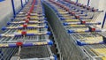 Empty trolleys for products in the supermarket 