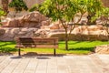 Empty tropic park paved alley way sunny bright colorful weather day time with wooden bench near decor tree and green grass meadow