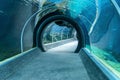 Empty tunnel in oceanarium Royalty Free Stock Photo