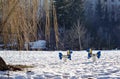 Empty urban playground for kids in winter sunny day. - Image Royalty Free Stock Photo