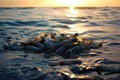 Empty used dirty plastic bottles in sea, ocean, lake near shore. Environmental pollution. Ecological problem. Ai