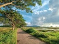 Empty village road during monsoon Royalty Free Stock Photo