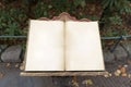 Empty vintage fairytale book on wood construction. Outdoor park area