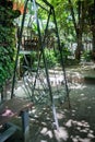 Empty vintage swings in garden Royalty Free Stock Photo
