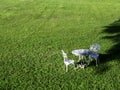 Empty vintage wrought iron garden round table and two chairs. Royalty Free Stock Photo