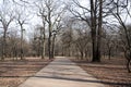 Empty walking path in the park closed due to coronavirus quarantine Royalty Free Stock Photo