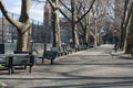 Empty Walkway and Benches at a Park in Williamsburg Brooklyn New York