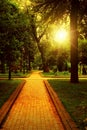 Empty walkway in park Royalty Free Stock Photo
