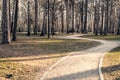 Empty walkway in the park. Lack of people in a public place, quarantine. Spring park in the morning. Royalty Free Stock Photo