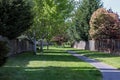 An empty walkway between wooden fences in a neighborhood