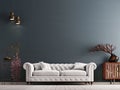 Empty wall in classical style interior with white sofa on grey background wall. Royalty Free Stock Photo