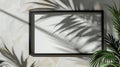 An empty wall frame, partially covered by shadows from a palm tree\'s shade.