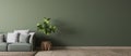 Empty wall interior design in modern living room mock-up , green couch with white cushions Scandinavian style, Panorama photo.