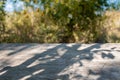 Empty weathered wood boards table, with autumn garden foliage blurred in the background, side view empty backdrop