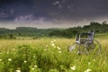 Empty wheelchair in nature