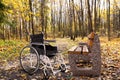 An empty wheelchair parked in an autumn park next to a bench. The concept of accessibility of people with disabilities Royalty Free Stock Photo