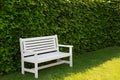 An empty white bench on a lawn in front of a high beech hedge