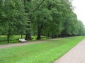 Empty white benches standing along footpath with lawn in city Park on summer day