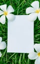 Empty greeting card mockup, vertical invitation template