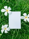 Empty greeting card mockup, vertical invitation template