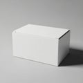 Empty white cardboard box Royalty Free Stock Photo