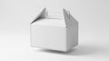 Empty white cardboard box Royalty Free Stock Photo