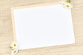 Empty white cards with daisies for invitations. Party concept, invitation Royalty Free Stock Photo