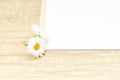 Empty white cards with daisies for invitations. Party concept Royalty Free Stock Photo